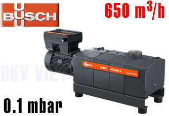 Bơm chân không Busch COBRA NX 0650 A ECOTORQUE